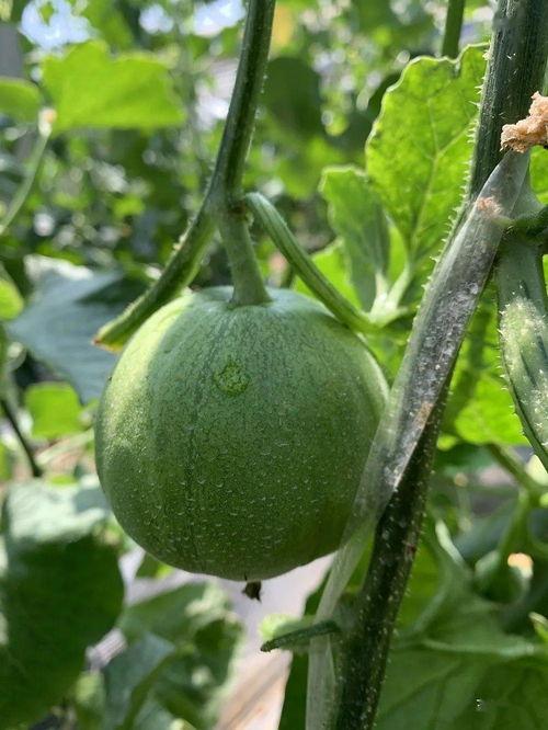 全娱乐吃瓜,揭秘娱乐圈背后的那些事儿