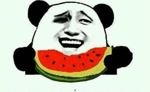 一个娱乐圈的吃瓜群众
