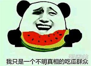 吃瓜了是啥意思,网络热词背后的文化现象