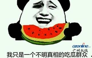 微信吃瓜表情是什么意思怎么回复